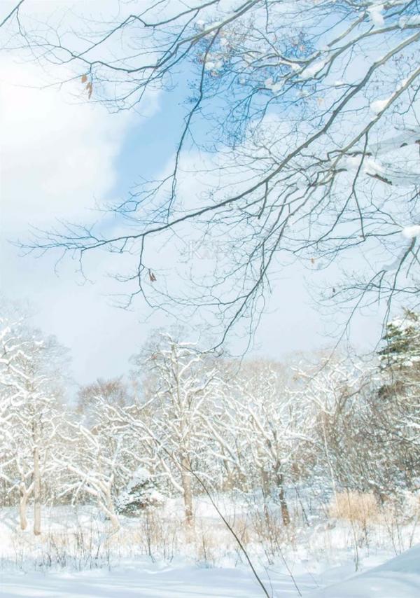 Whoseman-11-國民男友-阿部